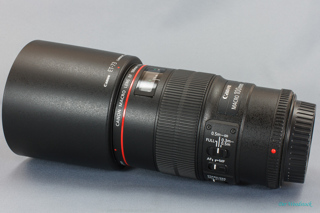 EF 100 mm 2.8 IS L USM: Dieses Objektiv sollte man sich unbedingt gönnen. Und wenn es das einzige wäre!