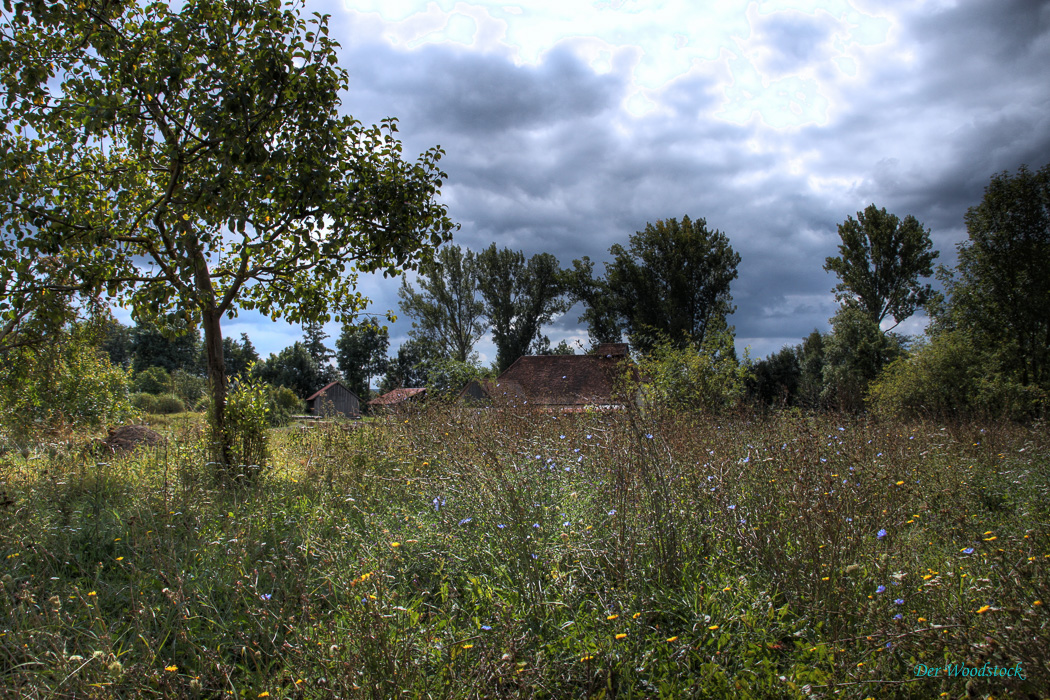 Spätsommer im Freilandmuseum