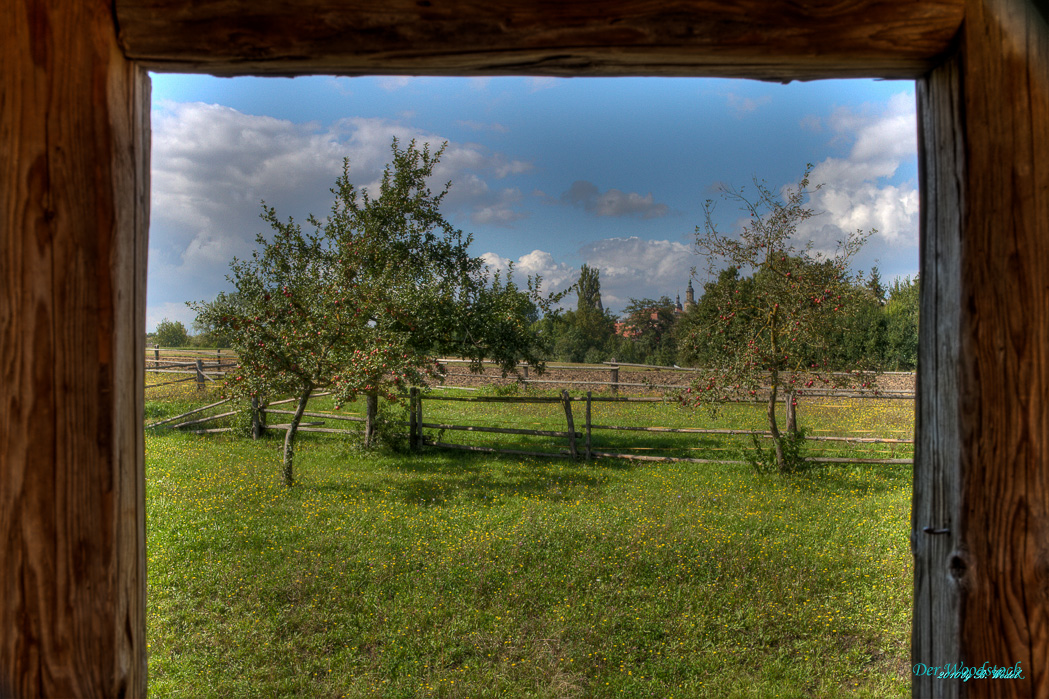 Obstgarten, im Hintergrund Bad Windsheim